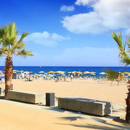 Seafront Serenity In For Seven *