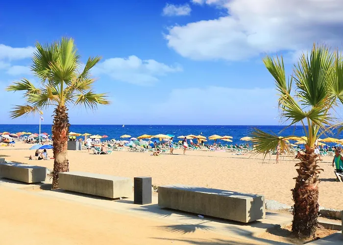 Seafront In With Access *